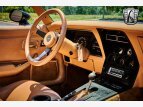 Thumbnail Photo 18 for 1981 Chevrolet Corvette